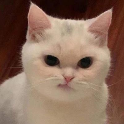 Никита Окотэтто